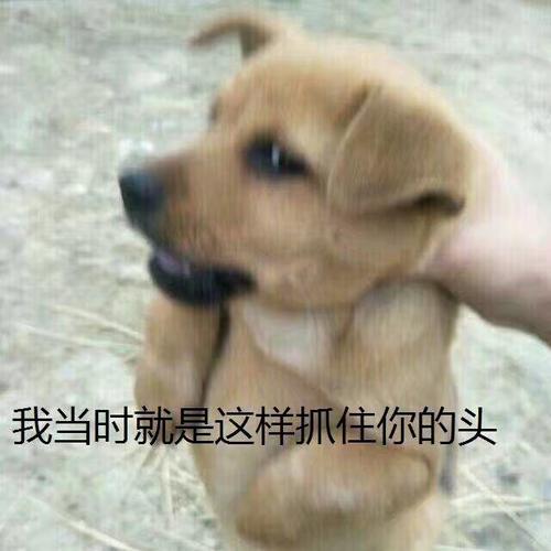 发作性睡病能活多久