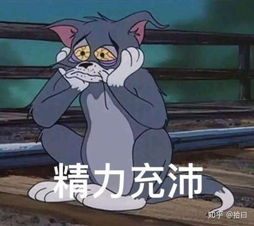 网络教育大专,怎样继续升本科呢
