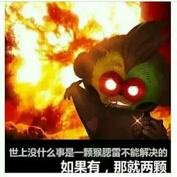 世上没有什么事情是一颗猴赛雷不能解决的,如果有,那就两颗来由