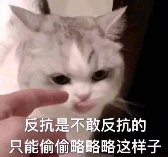 关于朱门酒肉臭中臭的读音