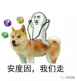 皮皮虾,我们走