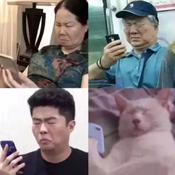 闯黄灯扣3分罚200新交规来了真相是...