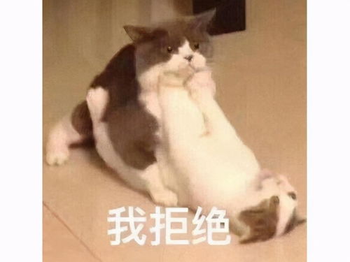 时隔13年再出新作,三国群英传的野心,竟然比日本人还大