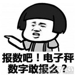 入冬以来你胖了多少斤了表情包免费版入冬以来你胖了多少斤了表情包高清无水印版下载9553下载