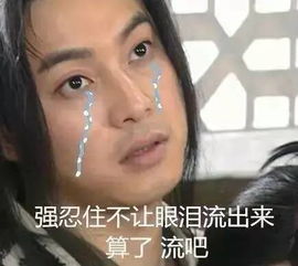 海量表情包仓库持续更新中