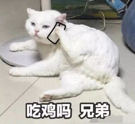 当牙医前vs当牙医后