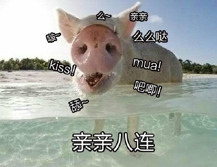 亲亲我的爱人表情包你是我