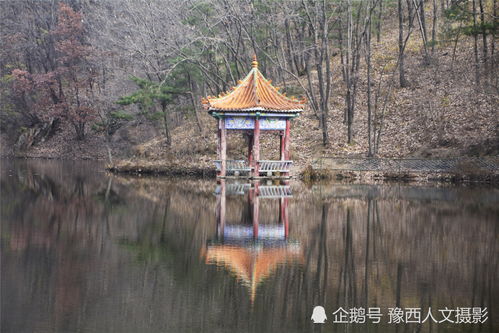 70岁大叔走20分钟小路,偷渡景区卖山货,温水馒头当午饭