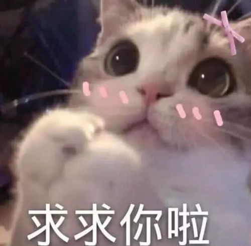 比我喜欢你强10000倍的表情包,撩到ta小鹿乱撞