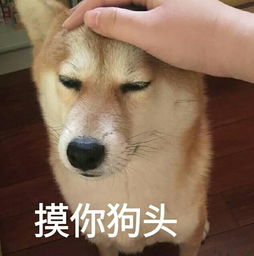 幽默笑话某天打扮的自认为很漂亮,一身黑,踩着厚底高跟