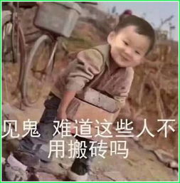 农村人专用表情包见鬼,你们这些城里人,难道不用搬砖的吗