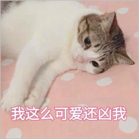 萌萌哒的表情包,有了它用了它,每天都是小萌女