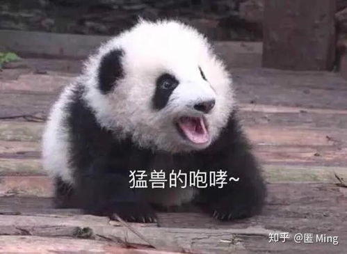 压箱底的笑话第七弹,谁会拒绝大笑的机会呢