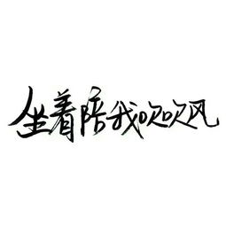 求大神帮我做一个这样的图片文字自作多情