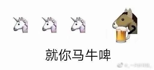 一只折耳猫