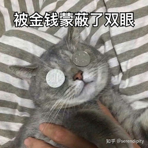 春天到了你有哪些好看的耳饰推荐一下吧,有样式或者店铺最好啦