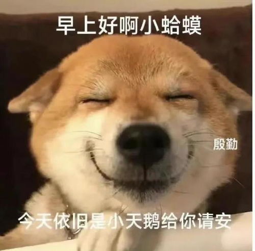 表情包三十八