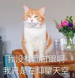热到出油高温暴雨简阳街头发生的真实一幕,感动所有人