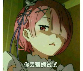 注意注意敌军向我们丢了一个雷姆