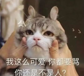 朋友找你借钱把这个表情包发给他,分分钟转账给你