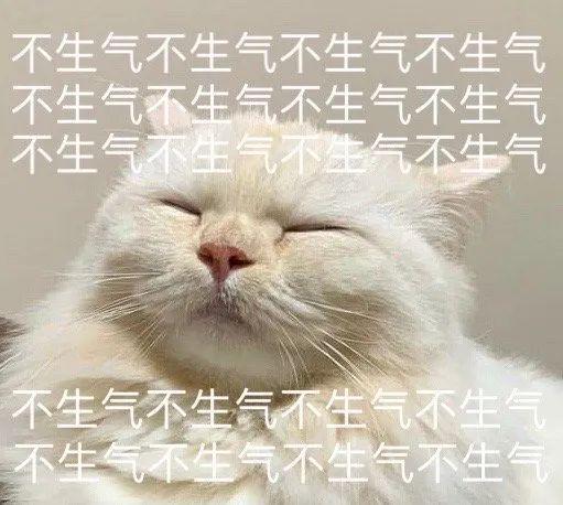 无水印表情包不生气不生气