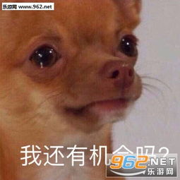 我的快乐呢图片带字摸摸委屈的你表情包下载乐游网游戏下载