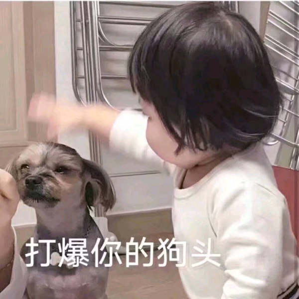 组内流量最大的茶几是谁啊