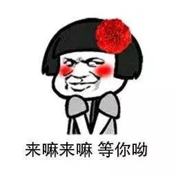 冲浪音乐美食引爆郑州,十一黄金周相聚赛飞豪斯