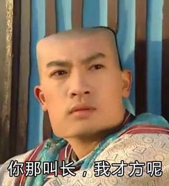 还珠格格好方表情包,看完我整个人都方了