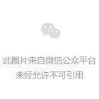 微信上线新功能网友这波很实用电脑前更方便了