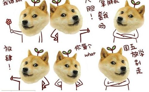 doge表情包第三季下载dogeqq表情包第三季下载当易网
