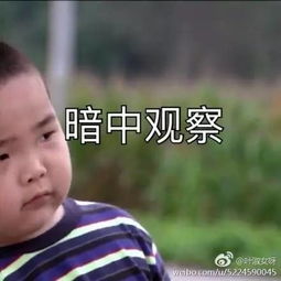 现在网上最火的小孩,竟然是这个谢飞机新年的表情包有着落了