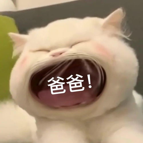 女头高质量头像