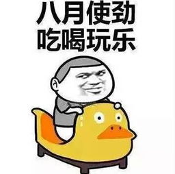 玩疯了这张高考准考证刷爆了朋友圈可背后的秘密让人震惊