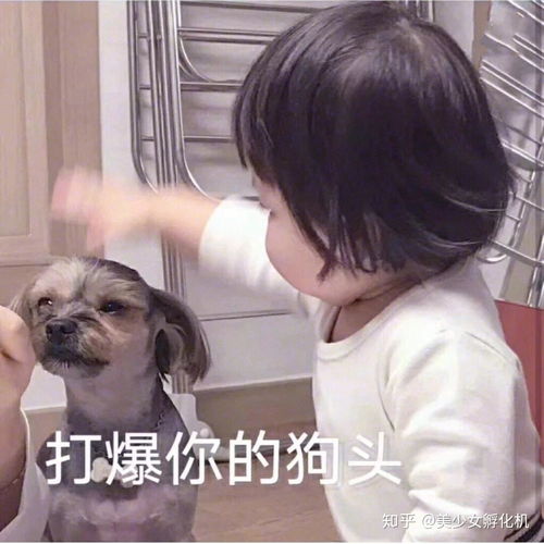 来分享可爱的罗熙表情包啦