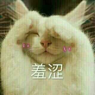有对象是一种什么样的体验甜甜的也好难受的也好我想听故事