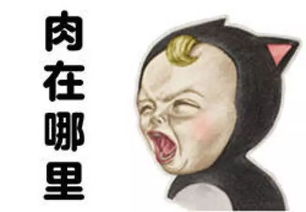 不以成败论英雄,只以识食物者为俊杰