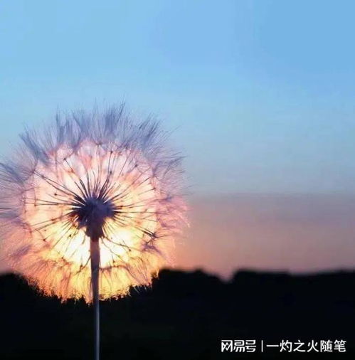 积极的人生态度