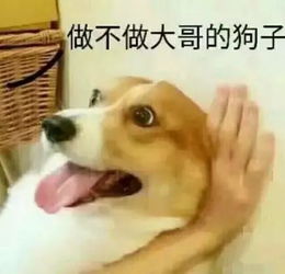 时隔近两年,许嵩新专辑即将发布,然而微博却在秀恩爱
