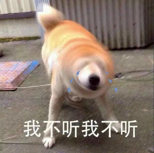同济大学,为什么这么牛