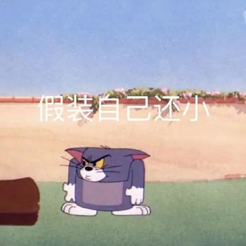 表情包求你了,和我打游戏好不好