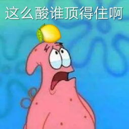 七夕走了,但它带来的狗粮和柠檬还在