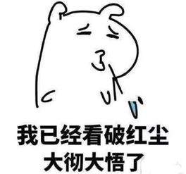 喜欢的表情包可爱坚定