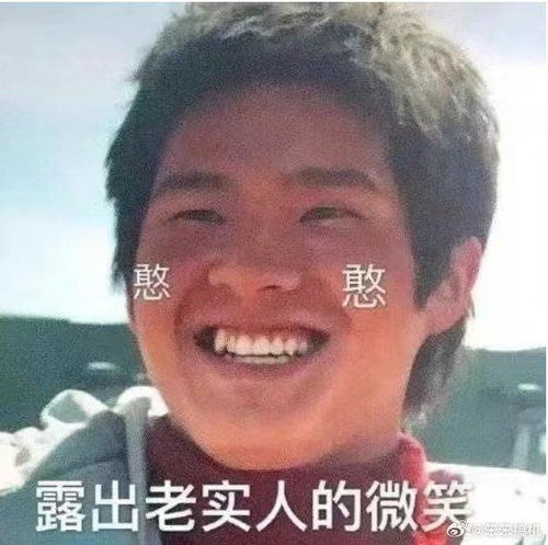 就iphone这更新幅度,改成两年一更新吧