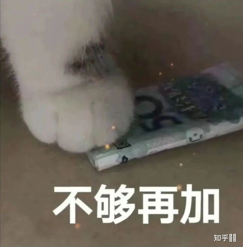 如何看待虎牙酷酷的鑫与心态的矛盾