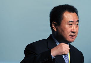 2016年中国富人榜最富十人,在相爱相杀中承包了我们的生活