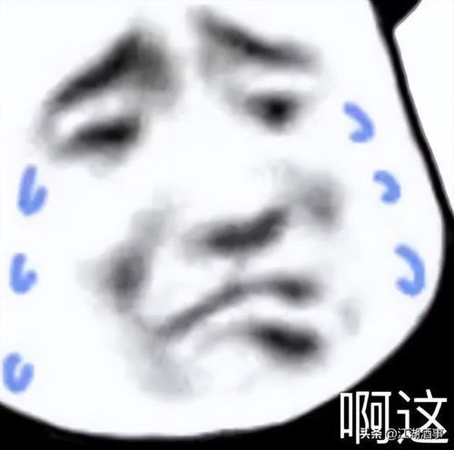 哈哈大笑表情包动图聊天记录