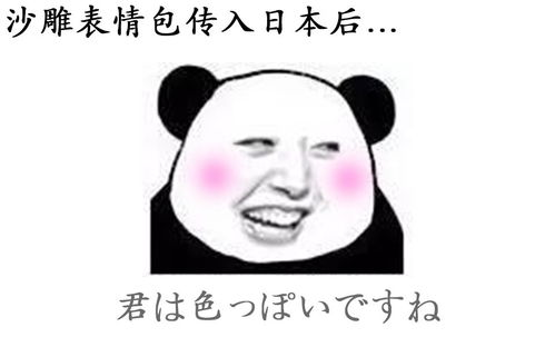 表情哆啦口袋日语的个人空间哔哩哔哩乾杯bilibili表情