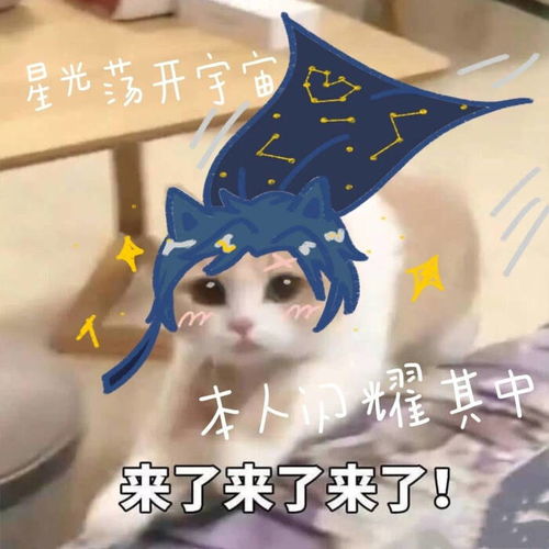 喜欢的表情包可爱王者荣耀