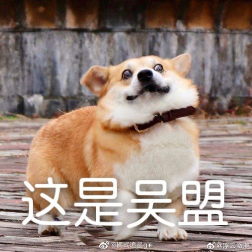 如何评价重启之极海听雷中由朱一龙扮演的王盟假扮吴邪的桥段